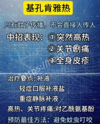 广东基孔肯雅热新增